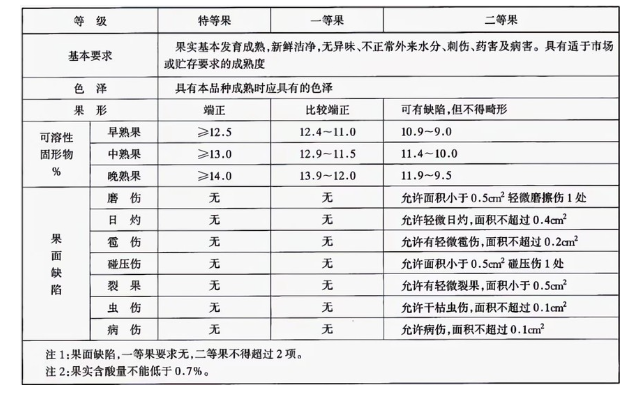 李子冷庫建造完成后如何用于儲存的？這些你都知道嗎