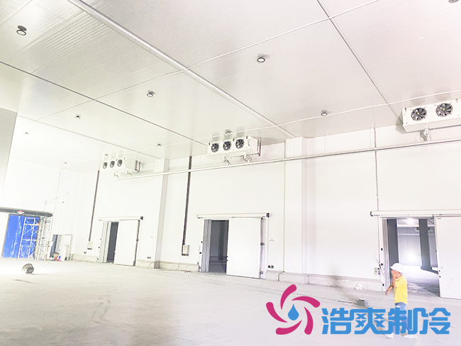 海南建造一個(gè)冷庫(kù)需要多少錢(qián)？_浩爽制冷