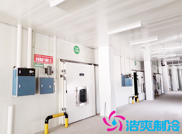 建造600m3農產(chǎn)品冷藏保鮮庫多少錢？如何計算冷庫制冷量_浩爽制冷