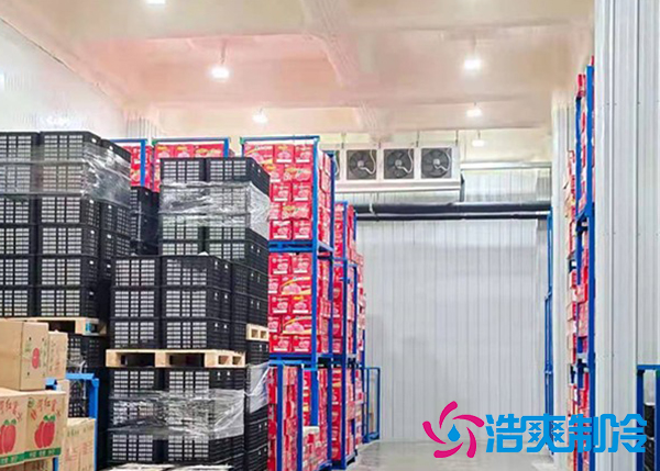 水果冷庫(kù)保鮮庫(kù)建造價(jià)格是多少錢(qián)？-浩爽制冷