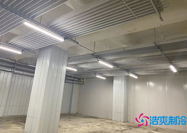 600噸貨物需要建造多大的冷藏庫(kù)？.jpg