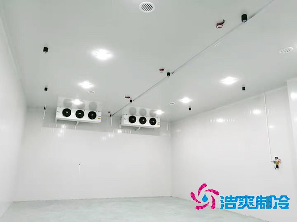 冷庫造價(jià)揭秘：300平方米到底要花多少錢？-浩爽制冷