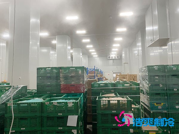 夏季蔬菜保鮮難？500噸冷庫(kù)建造價(jià)格揭秘！