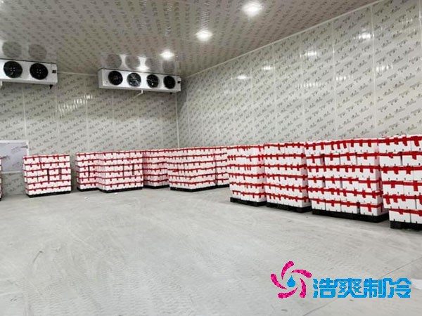 檳榔保鮮冷庫安裝造價費用多少錢？-浩爽制冷