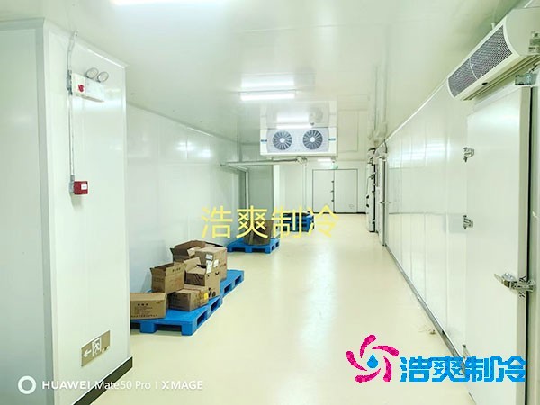 荔枝冷庫安裝價格多少錢一平方米？荔枝冷庫可以放多久-浩爽制冷