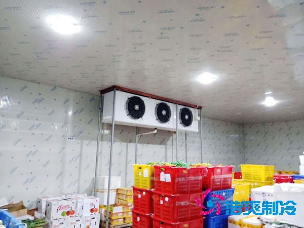 建一個蔬菜冷庫造價需要多少錢？-浩爽制冷